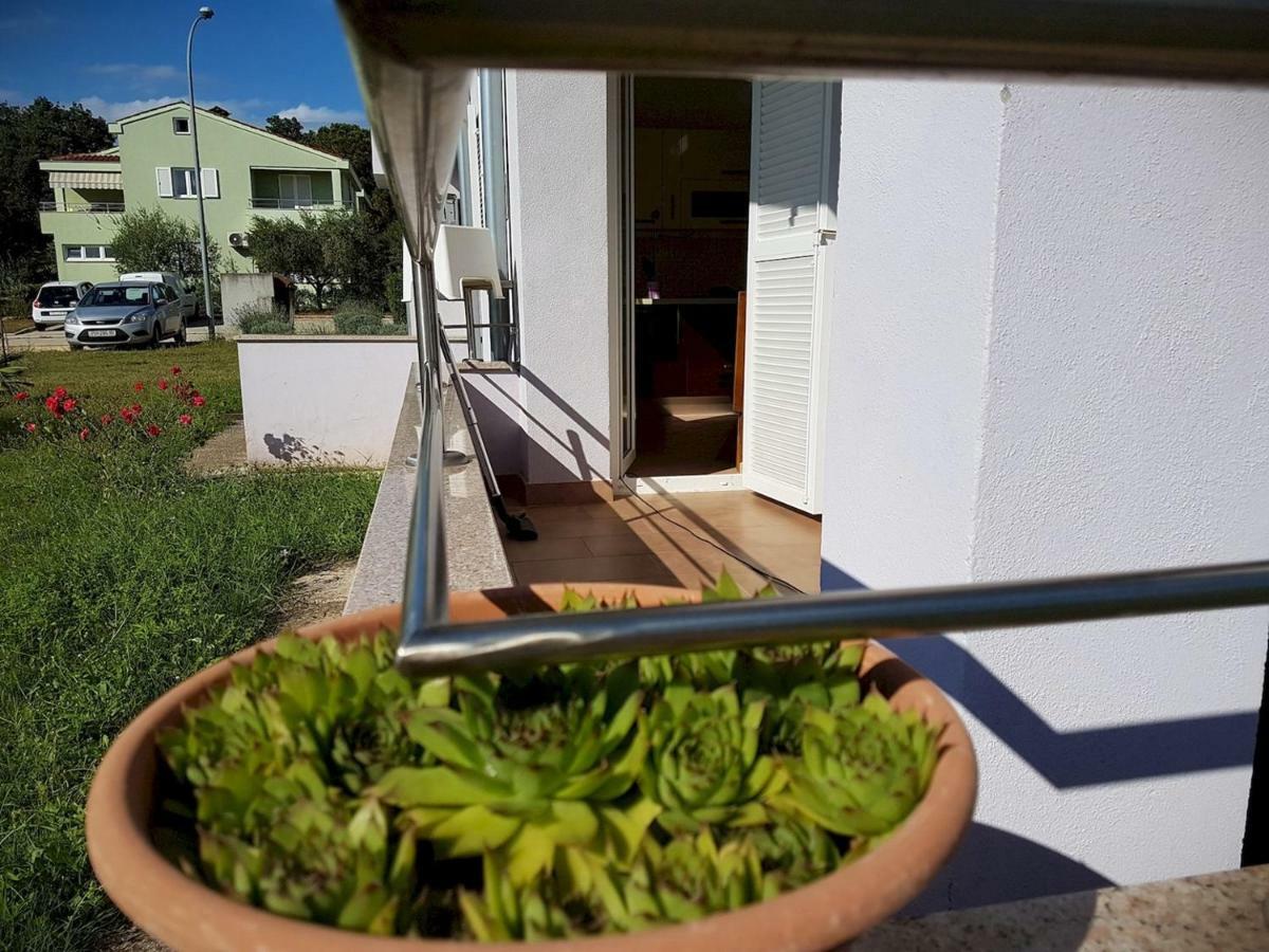 Apartment Vitalia 2+2 포레치 외부 사진